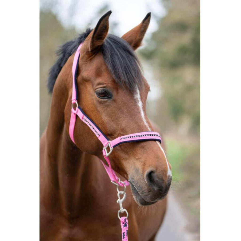 HKM Halsterset Crystal Zacht Onderlegd Roze/Donkerblauw