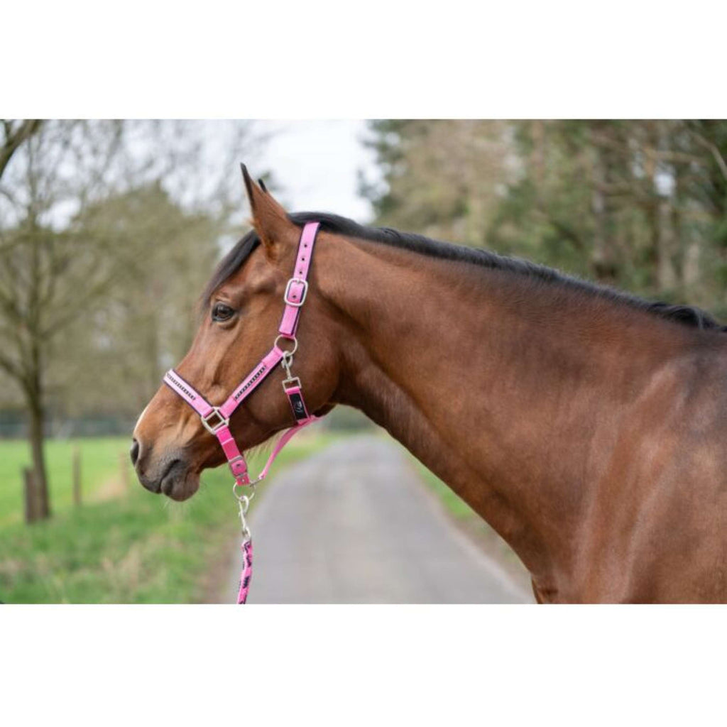 HKM Halsterset Crystal Zacht Onderlegd Roze/Donkerblauw