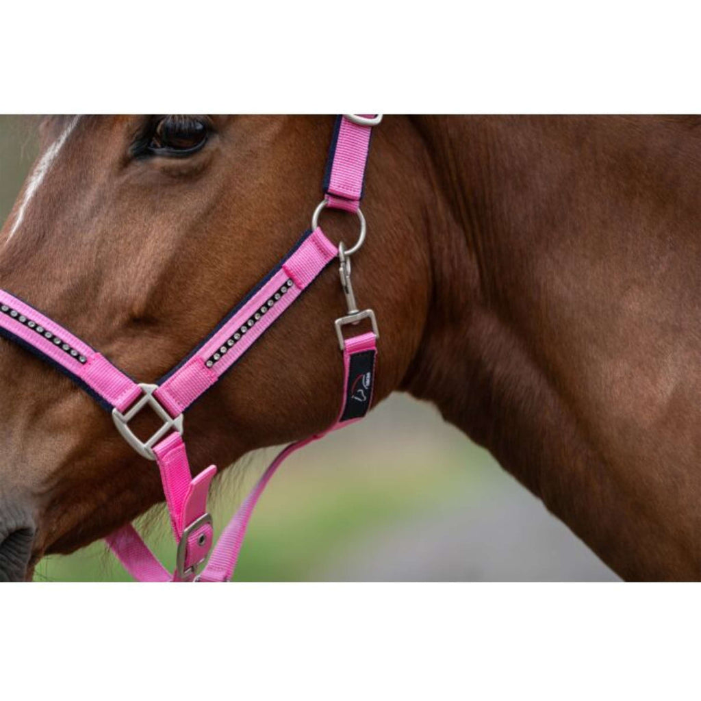 HKM Halsterset Crystal Zacht Onderlegd Roze/Donkerblauw
