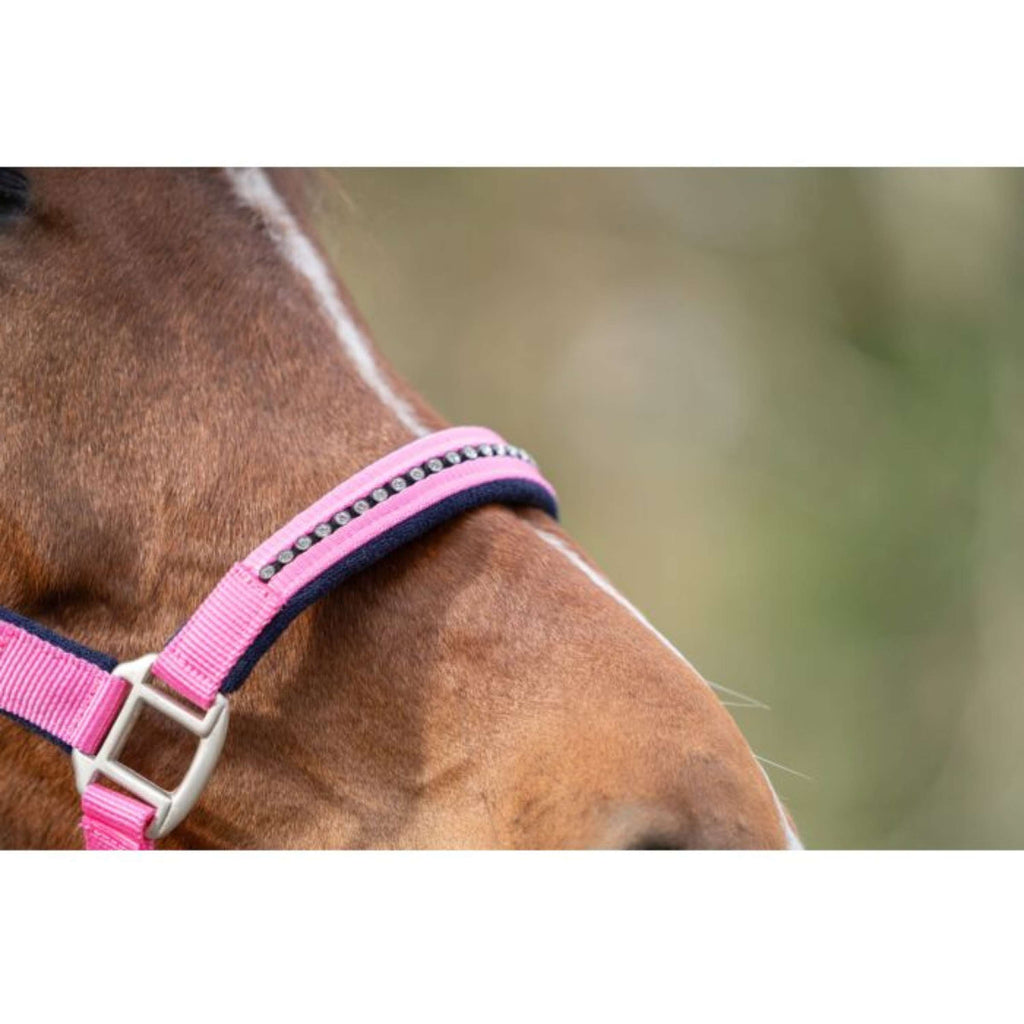 HKM Halsterset Crystal Zacht Onderlegd Roze/Donkerblauw