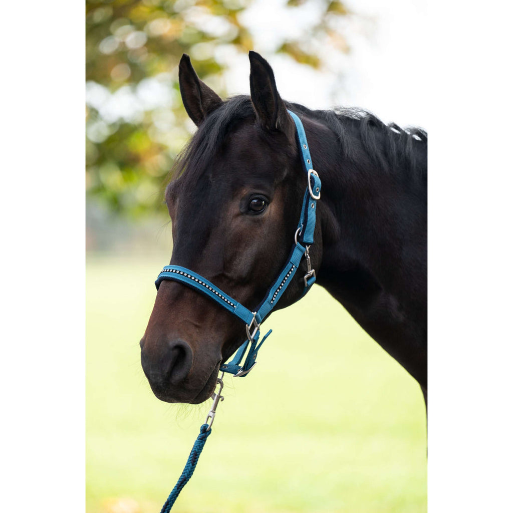 HKM Halsterset Crystal Zacht Onderlegd Petrol/Navy