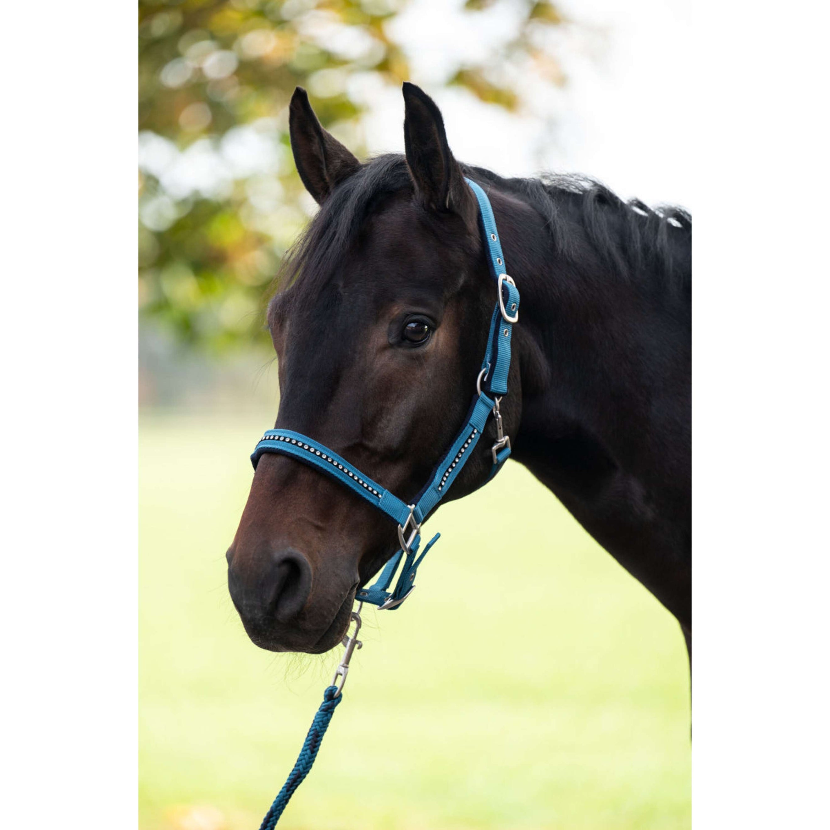HKM Halsterset Crystal Zacht Onderlegd Petrol/Navy