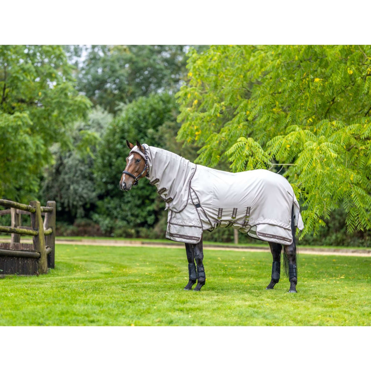 LeMieux Eczeemdeken Kudos Sweet Itch SS26 Stone