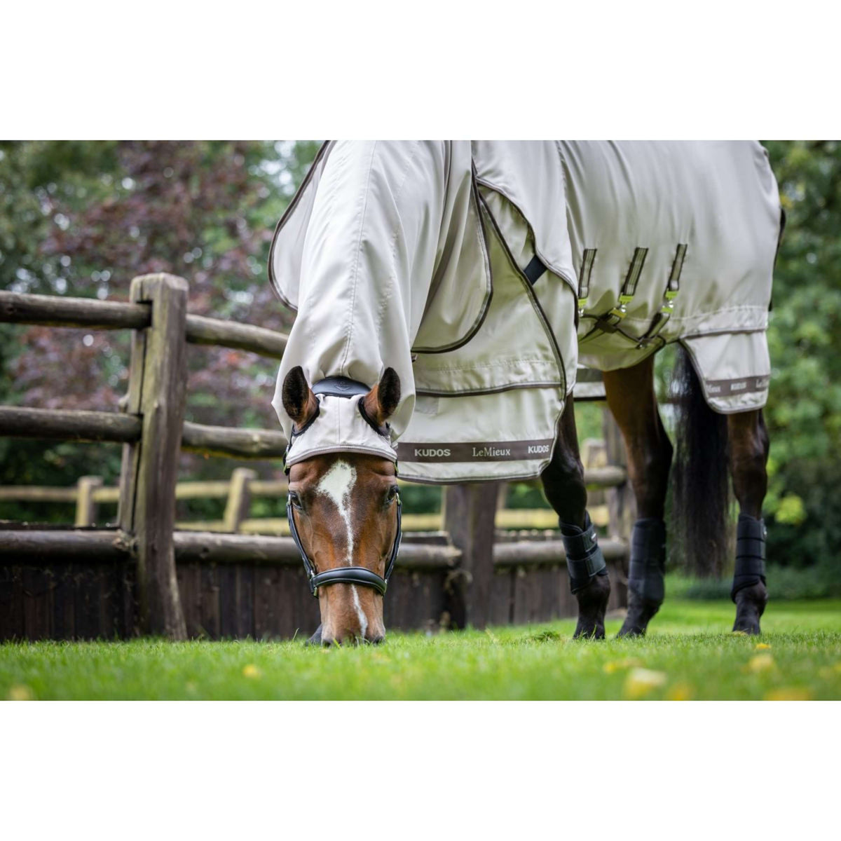 LeMieux Eczeemdeken Kudos Sweet Itch SS26 Stone