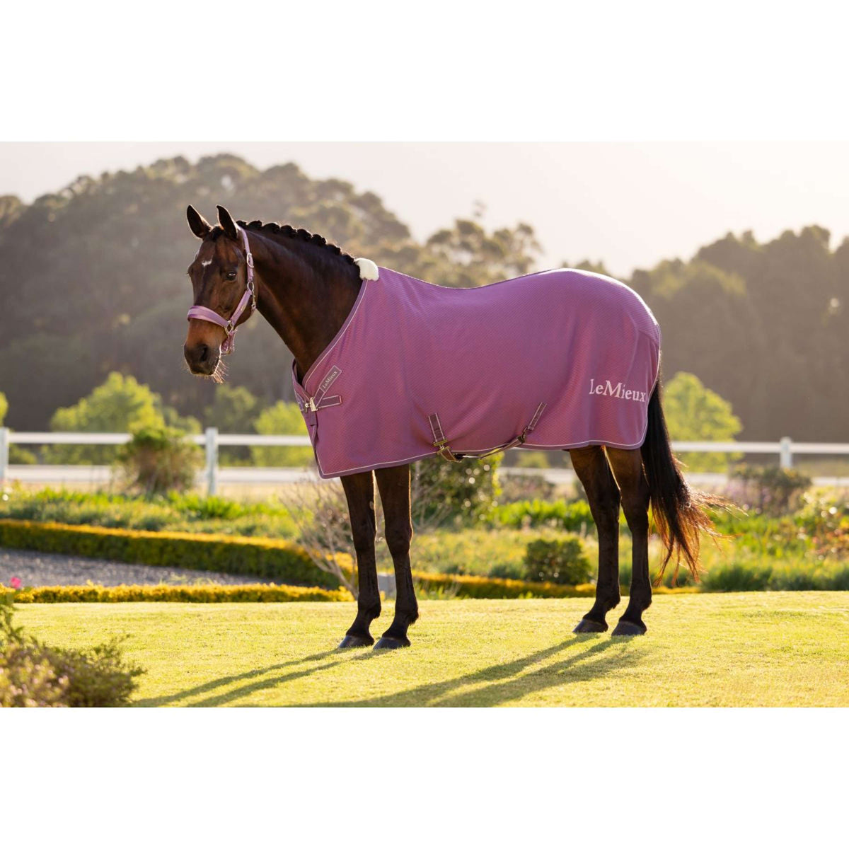 LeMieux Cooler Kudos Bamboo Mallow