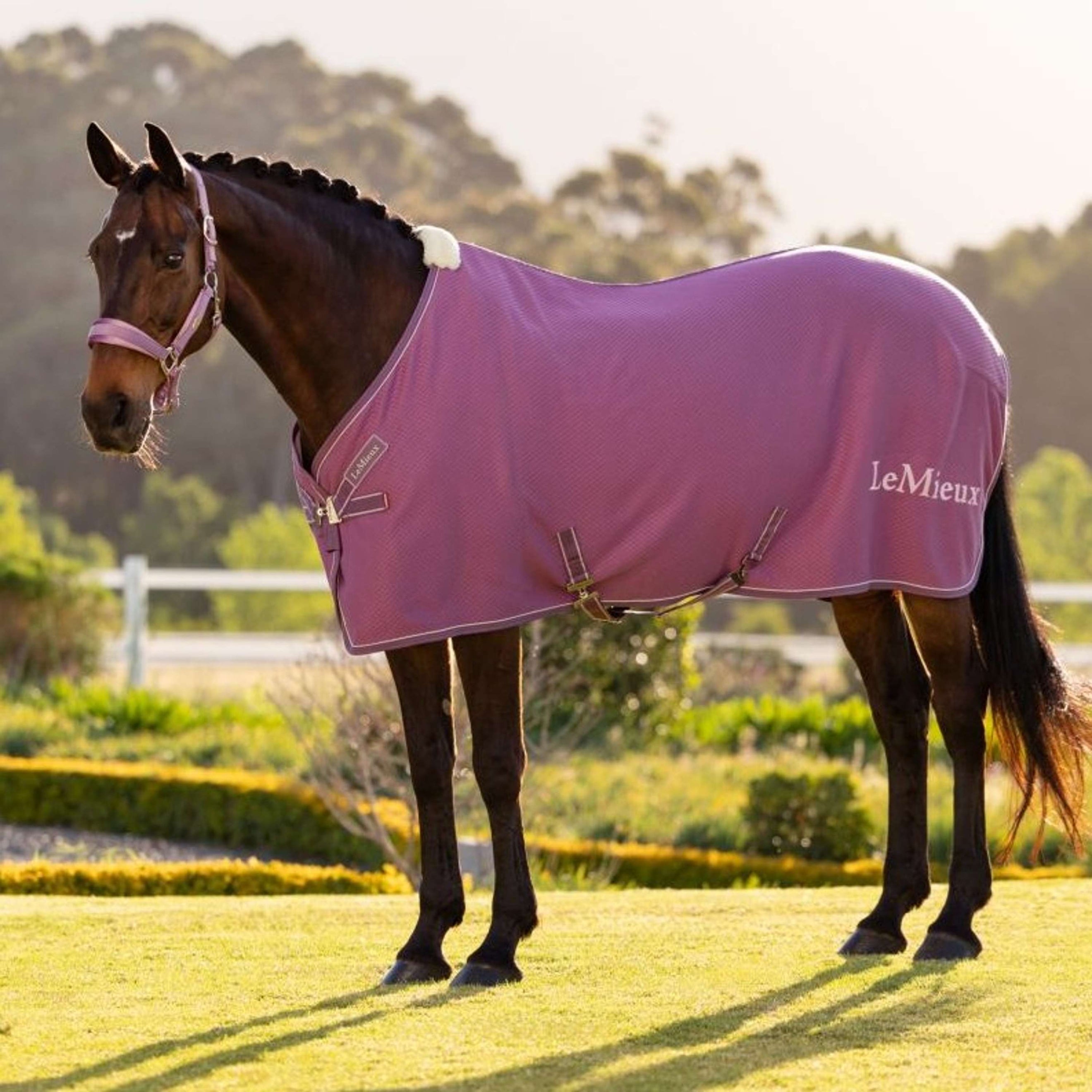 LeMieux Cooler Kudos Bamboo Mallow