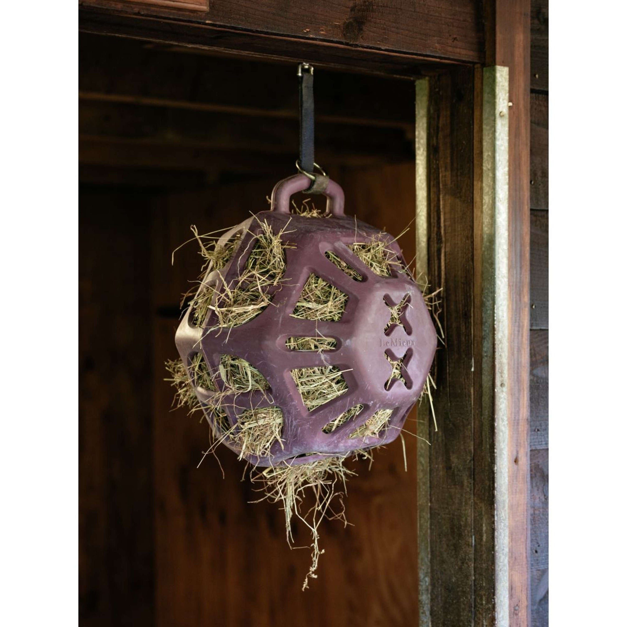 LeMieux Hooibal Hay Mallow