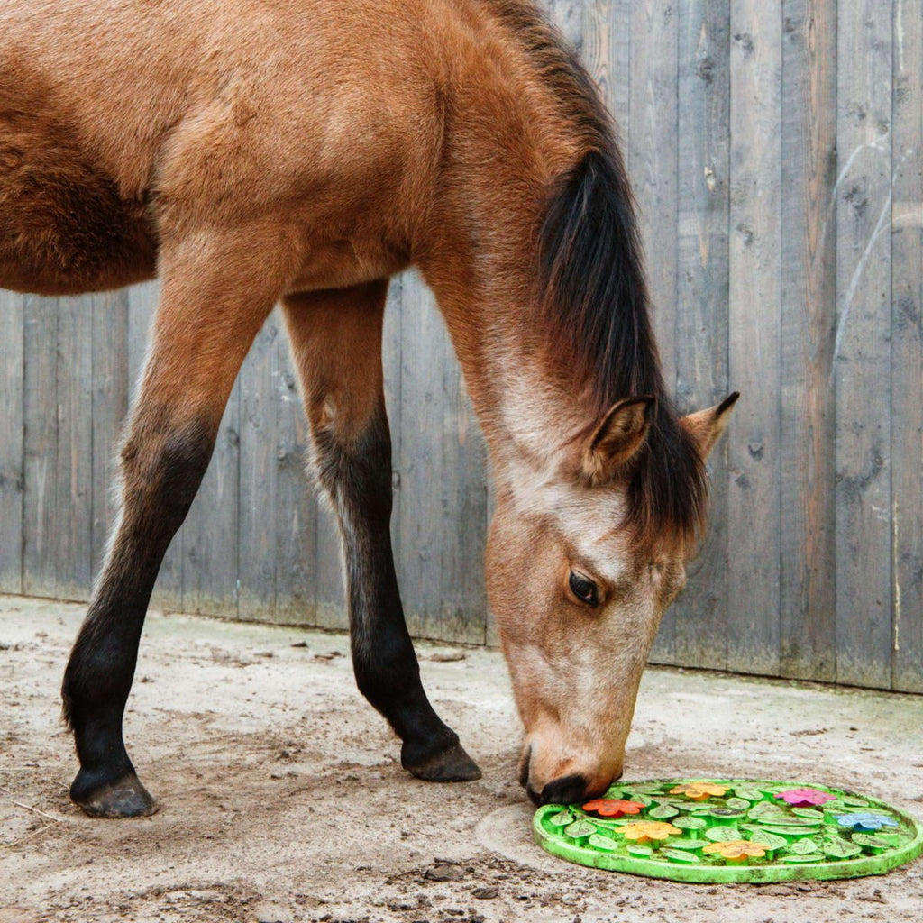 Excellent Snuffelmat Horse Flower Power