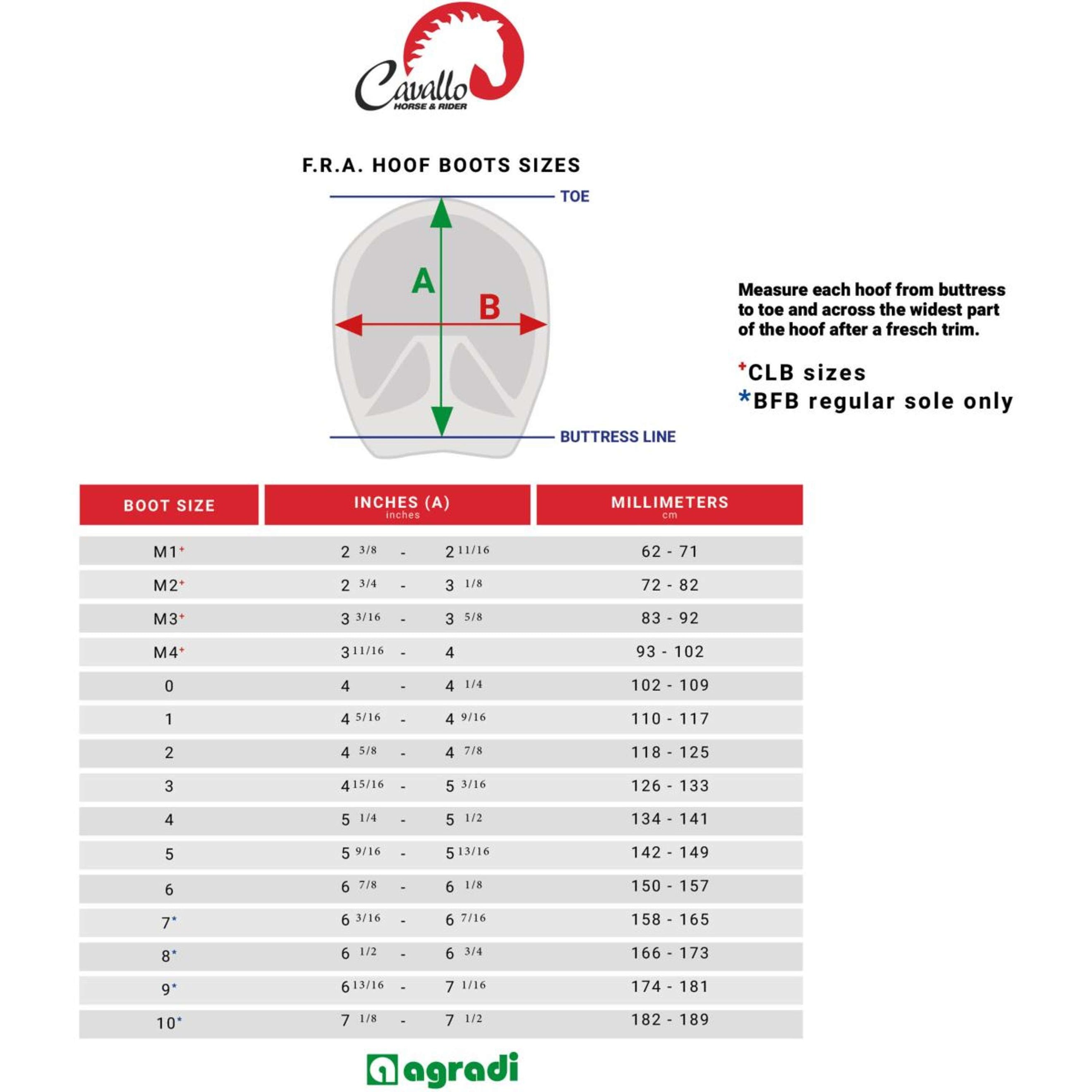 F.R.A. Cavallo Horse & Rider Hoefschoenen Simple Regular Zwart F.R.A. Cavallo Horse & Rider Hoefschoenen Simple Regular Zwart