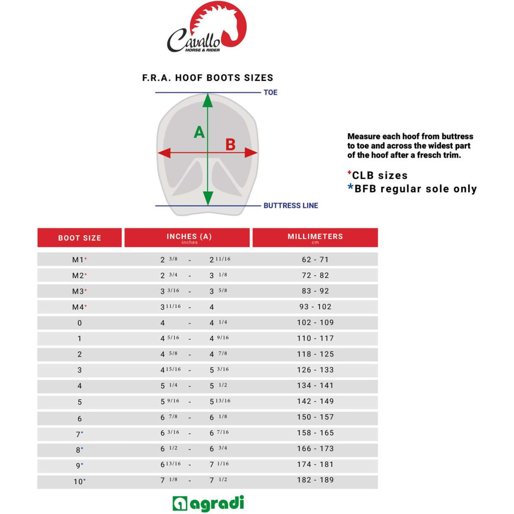 F.R.A. Cavallo Horse & Rider Hoefschoenen CLB Regular Zwart
