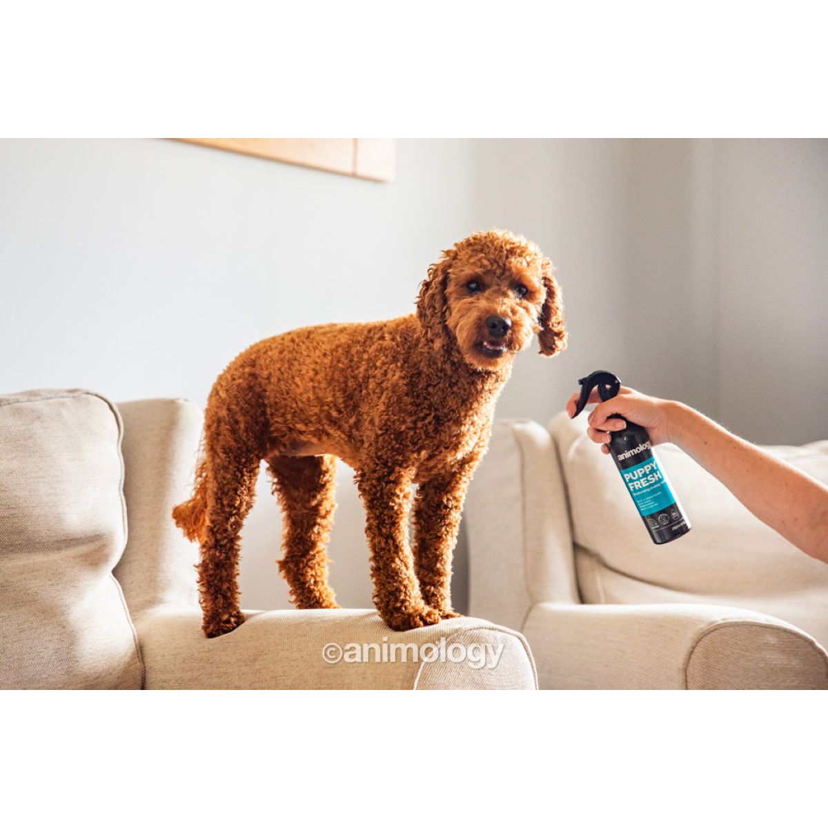 Animology Geurspray Puppy Fresh