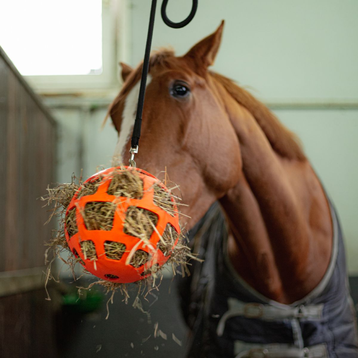 Excellent Hay Slowfeeder Fun and Flex Oranje