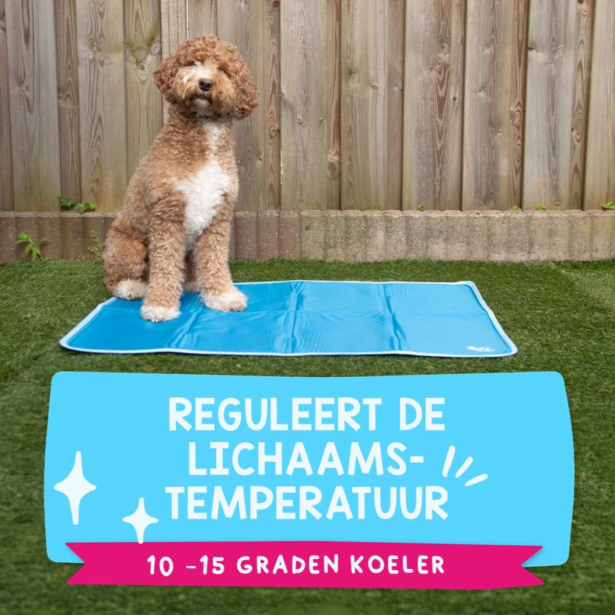 Coolpets Koelmat Premium Solid Gel