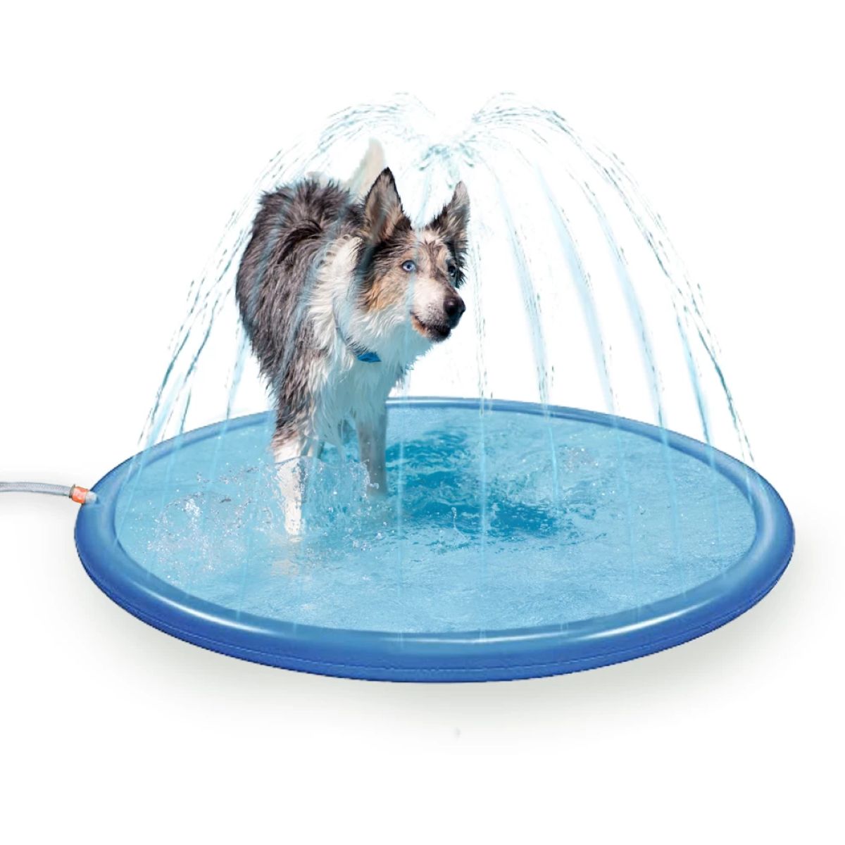 Coolpets Koelmat Splash Sprinkler