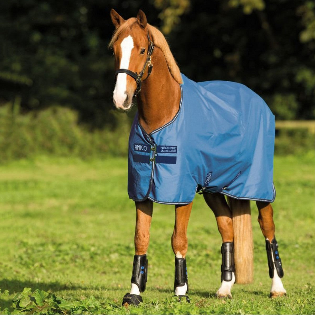 Amigo Turnout Lite Hero 900 50g Colony Blue/Bluebell