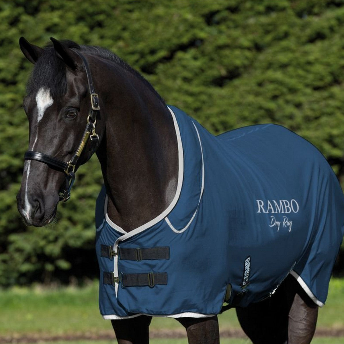 Rambo Dry Rug Supreme Navy/Zilver