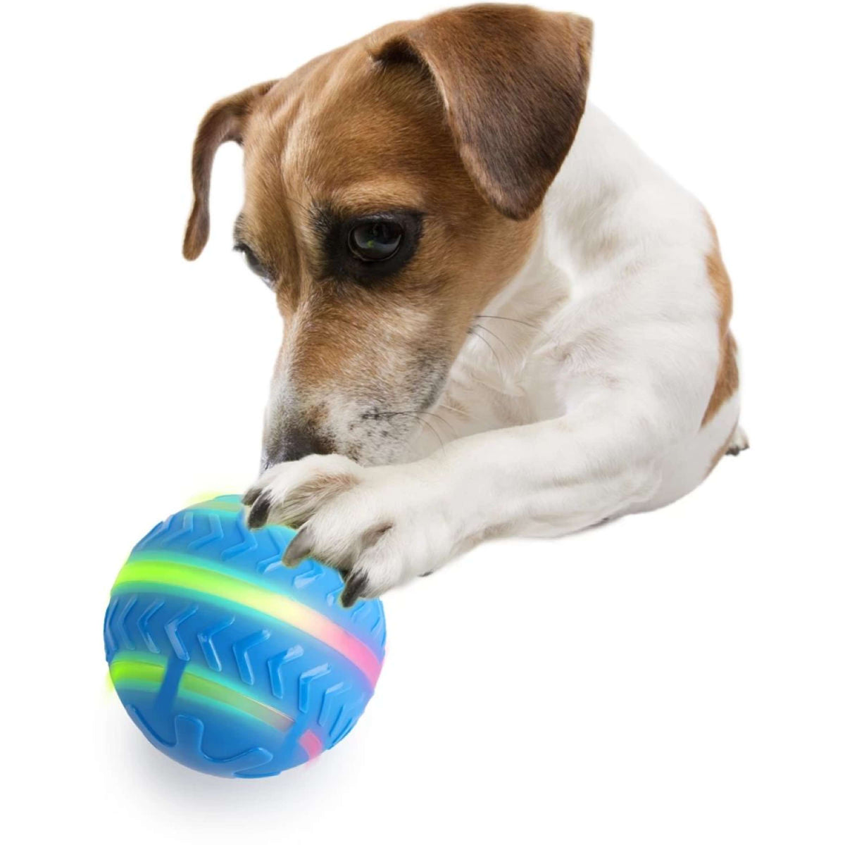 All for Paws Bal motion Activated Interactief