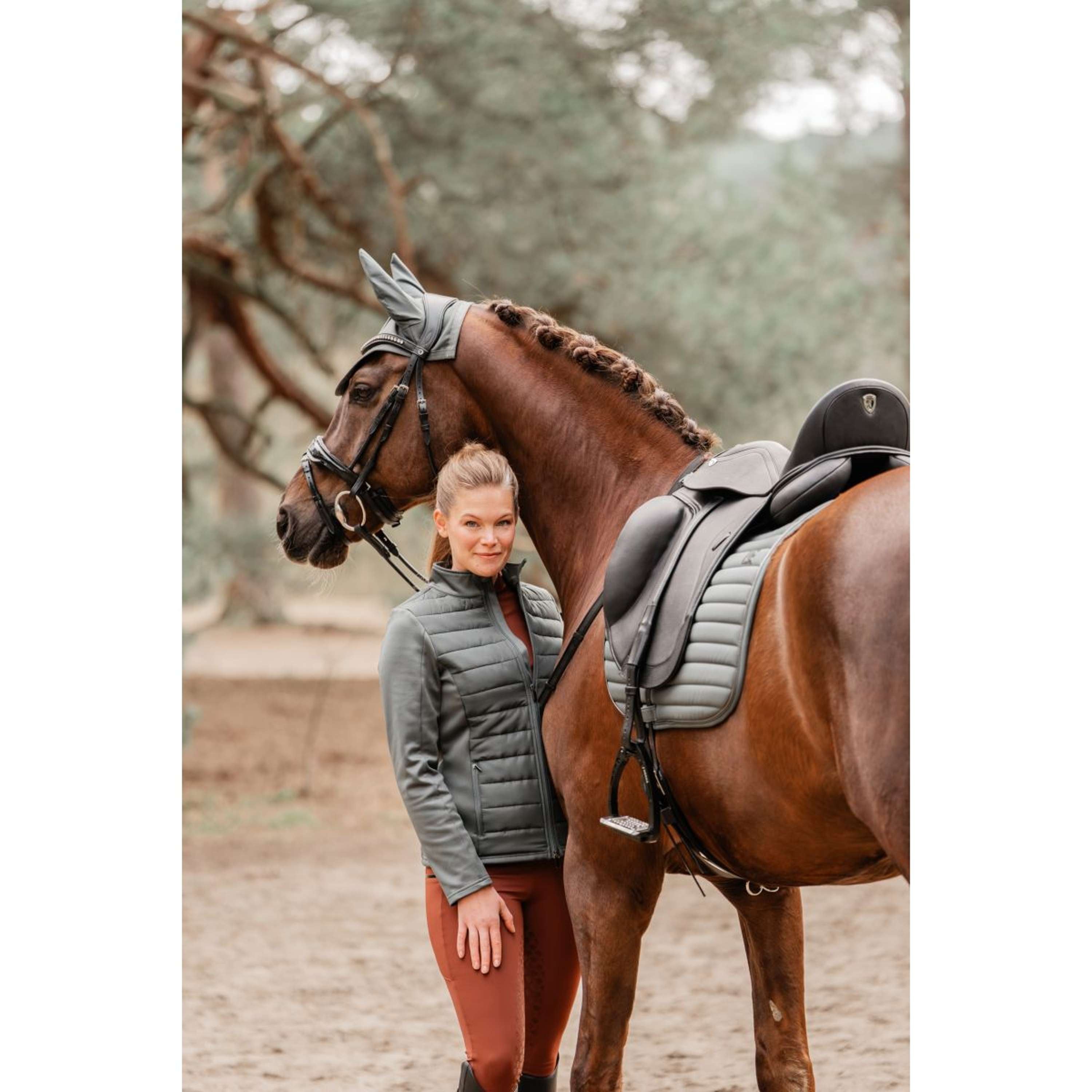 EQPRO Oornetje Softshell Shadow Steel