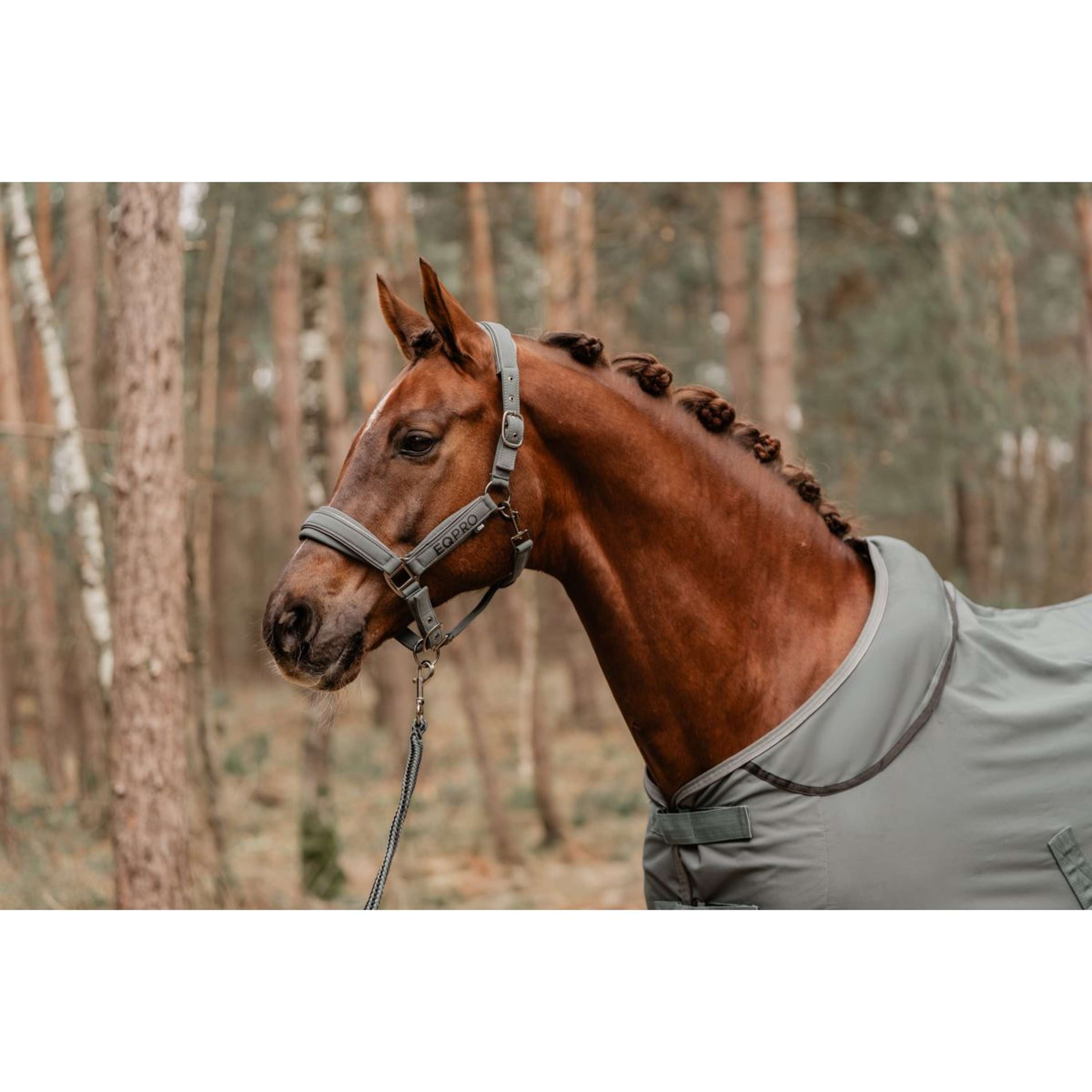 EQPRO Softshell Deken met Oprolbare Hals Shadow Steel