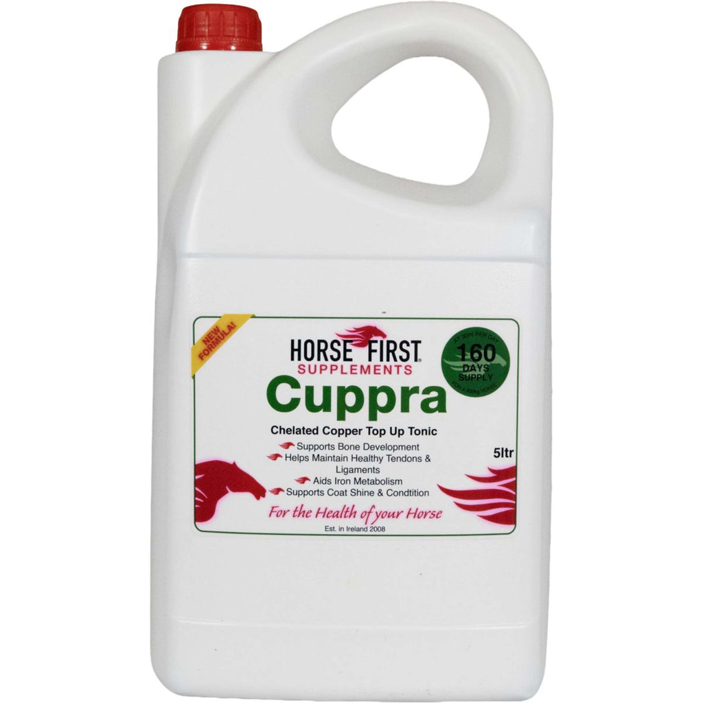 HorseFirst Cuppra