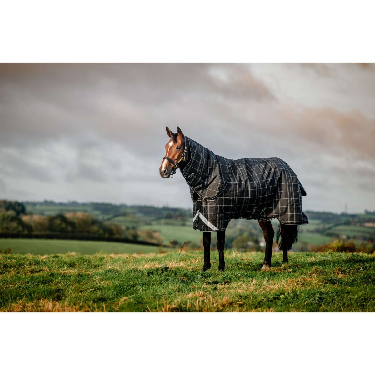 Rhino Plus Turnout Bundle 0g + 200g Black Check/Black/White