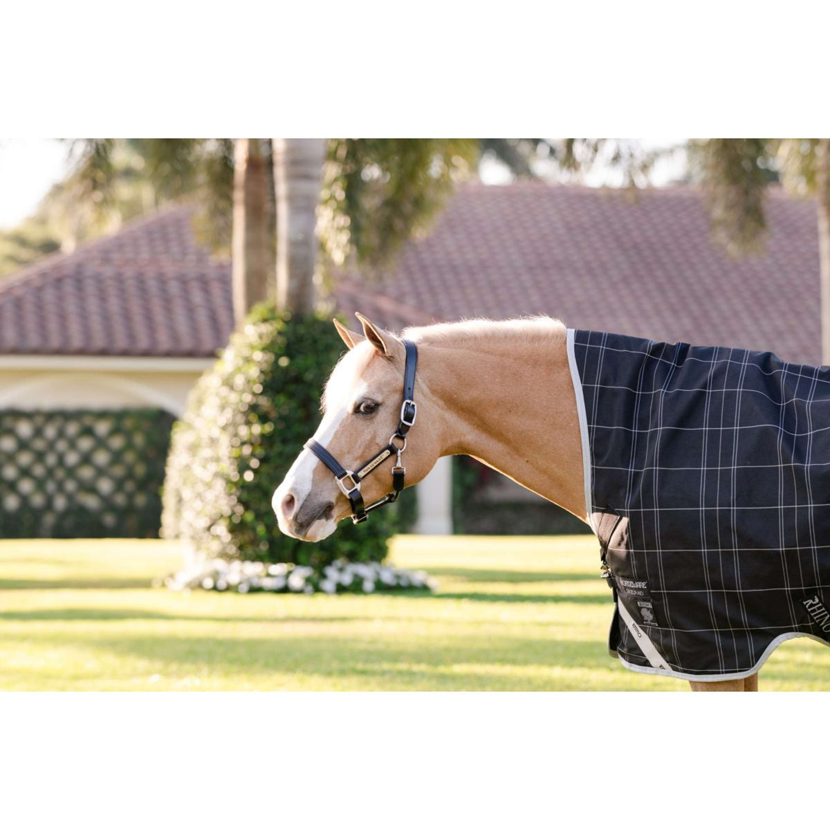 Rhino Wug Pony Turnout 250g Varilayer Black/Grey/White Check/Gray