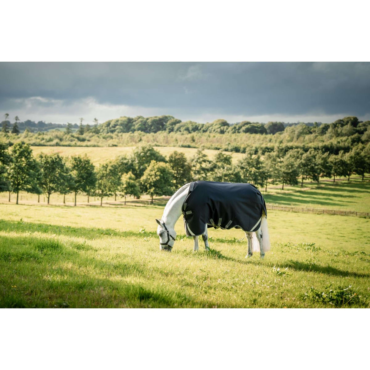 Rambo Turnout Rug 1680D Varilayer 450g Black/Thunderstorm Grey/Silver