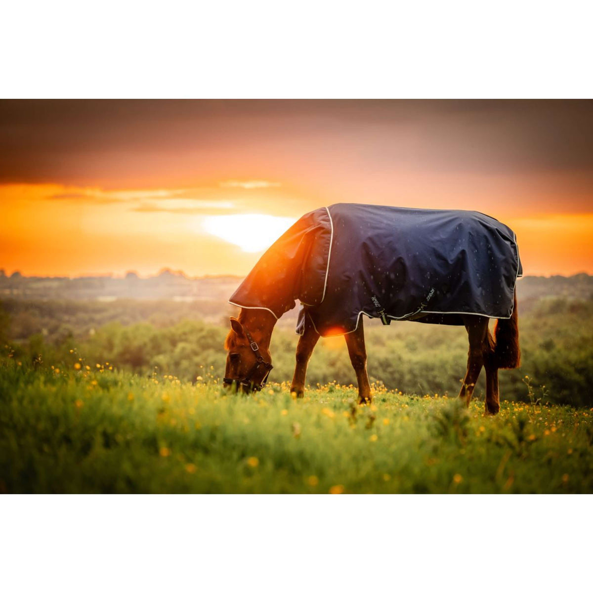 Amigo Ripstop 900D Plus 200g Witney Navy