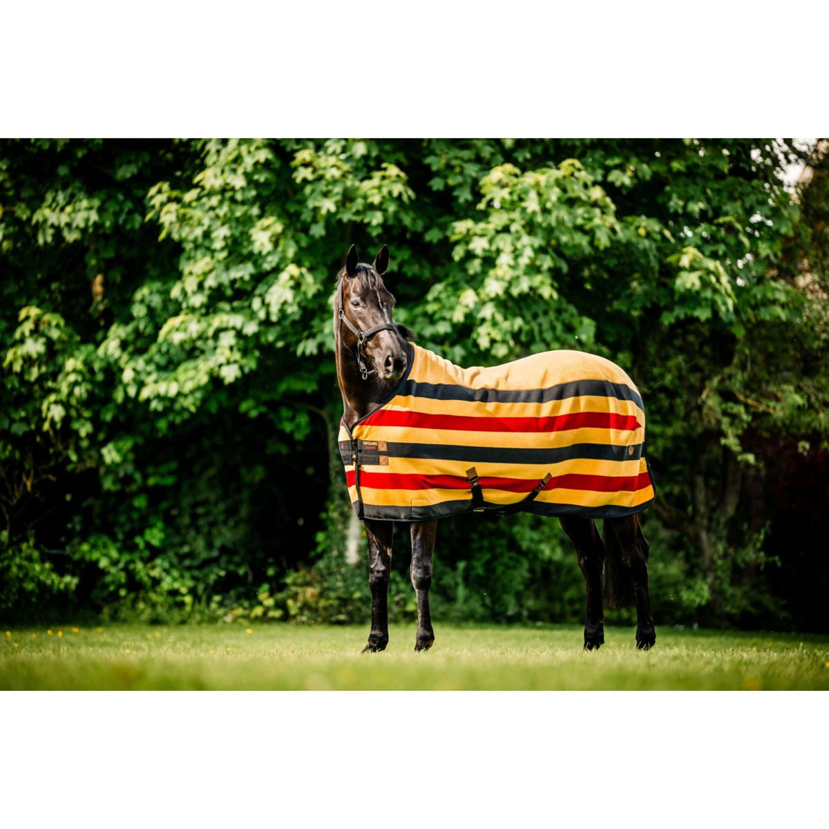 Horseware Fleece Cooler Newmarket Witney Gold