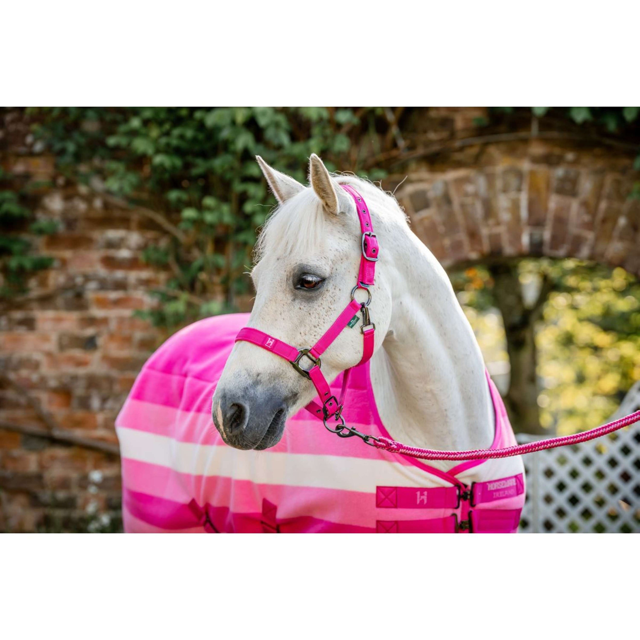 Horseware Fleece Cooler Newmarket Witney Pink Horseware Fleece Cooler Newmarket Witney Pink