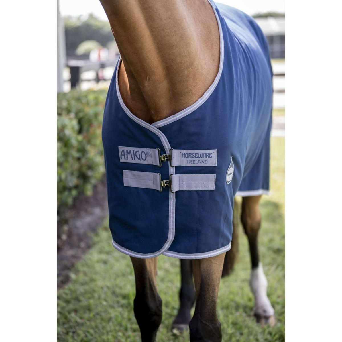 Amigo Staldeken Navy/Titanium Grey/Silver