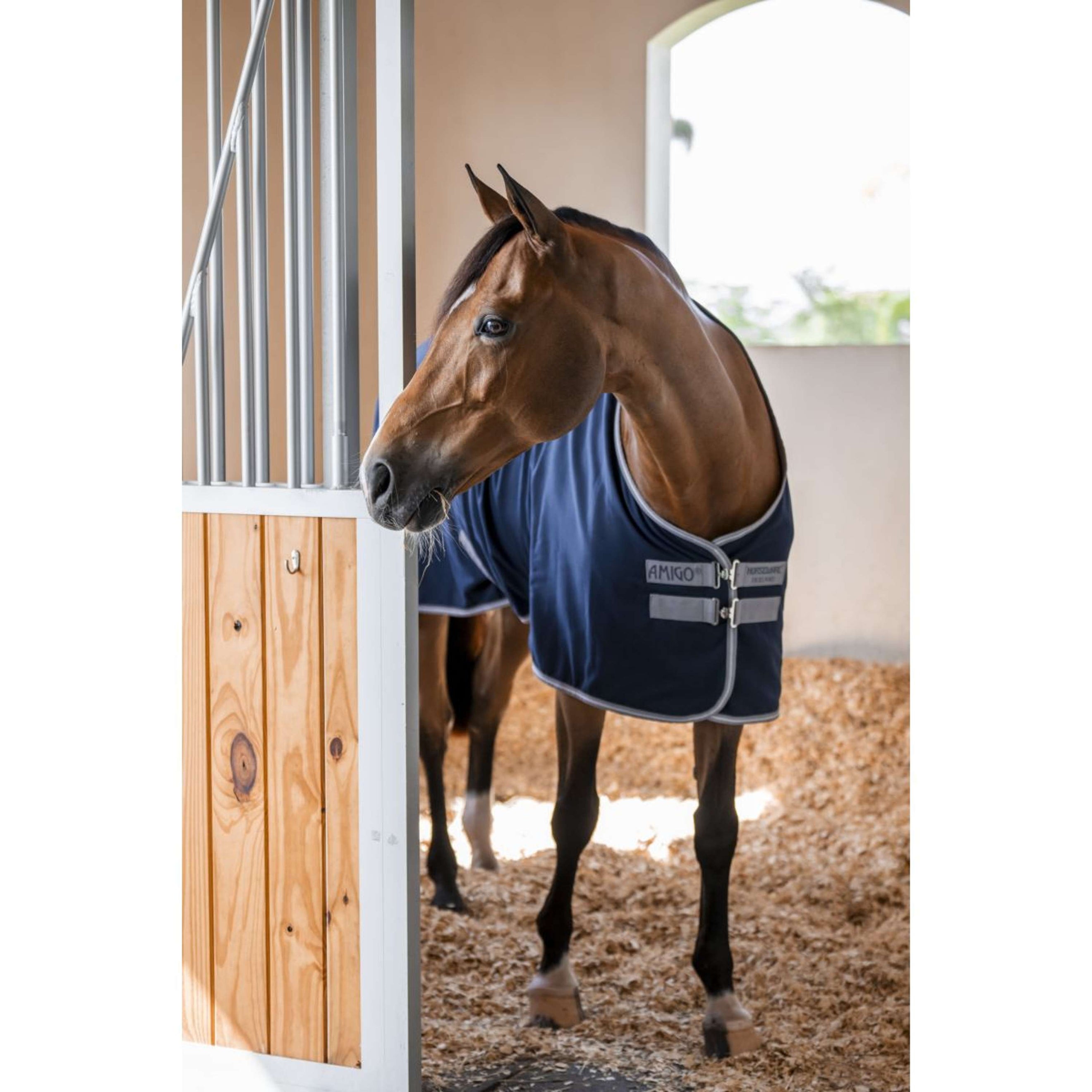 Amigo Staldeken Navy/Titanium Grey/Silver