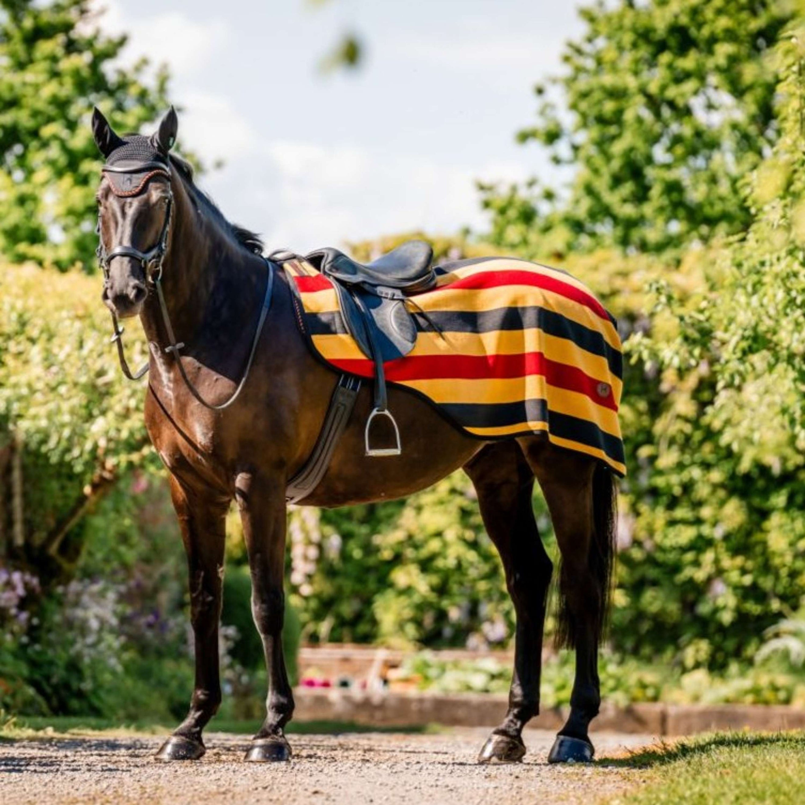 Horseware Uitrijdeken Newmarket Witney Gold