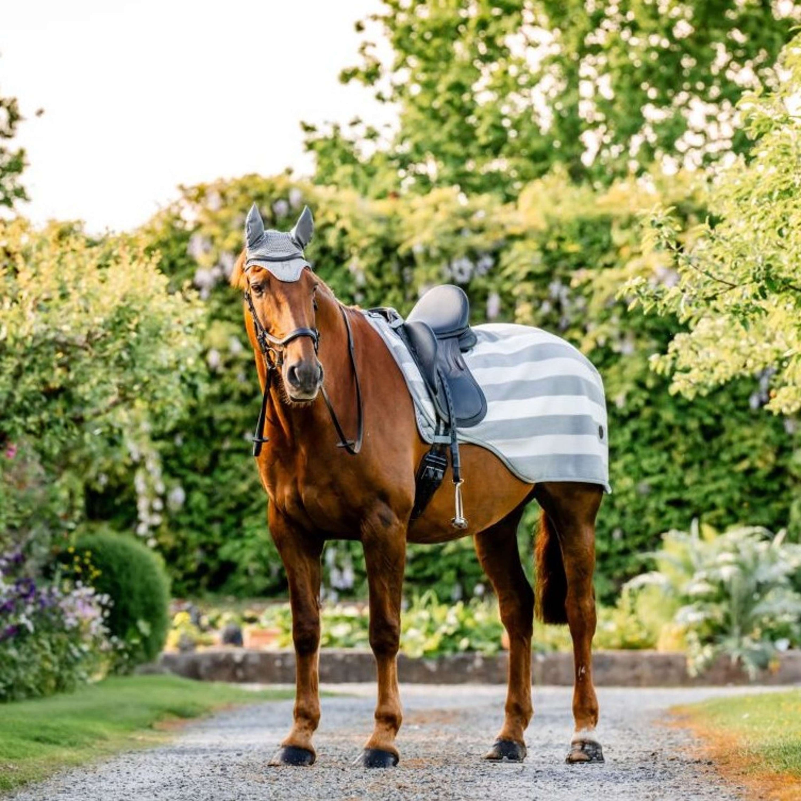 Horseware Uitrijdeken Newmarket Witney Charcoal