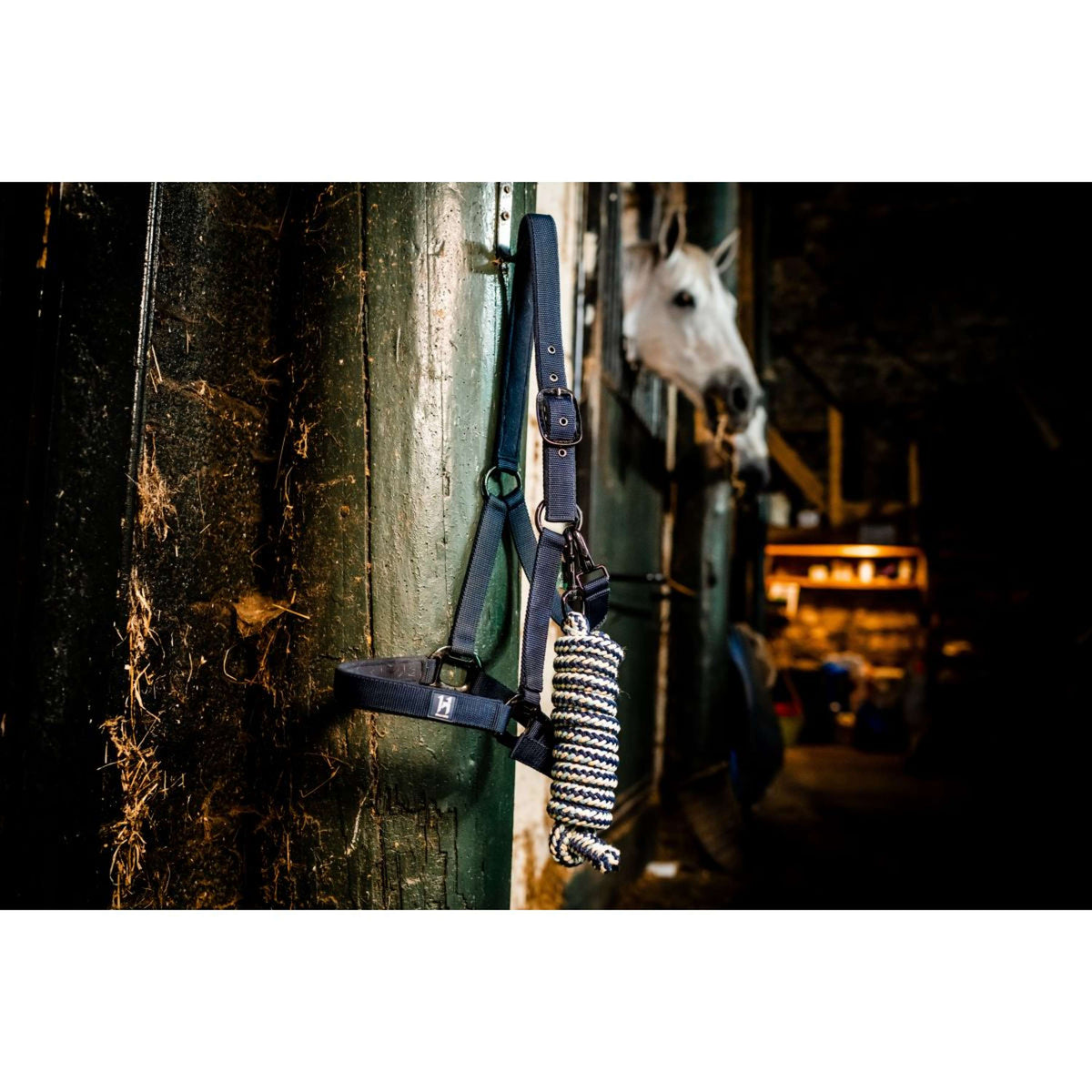 Amigo Halster & Touw Newmarket Witney Navy