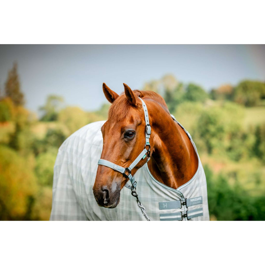 Amigo Halster & Touw Newmarket Witney Charcoal