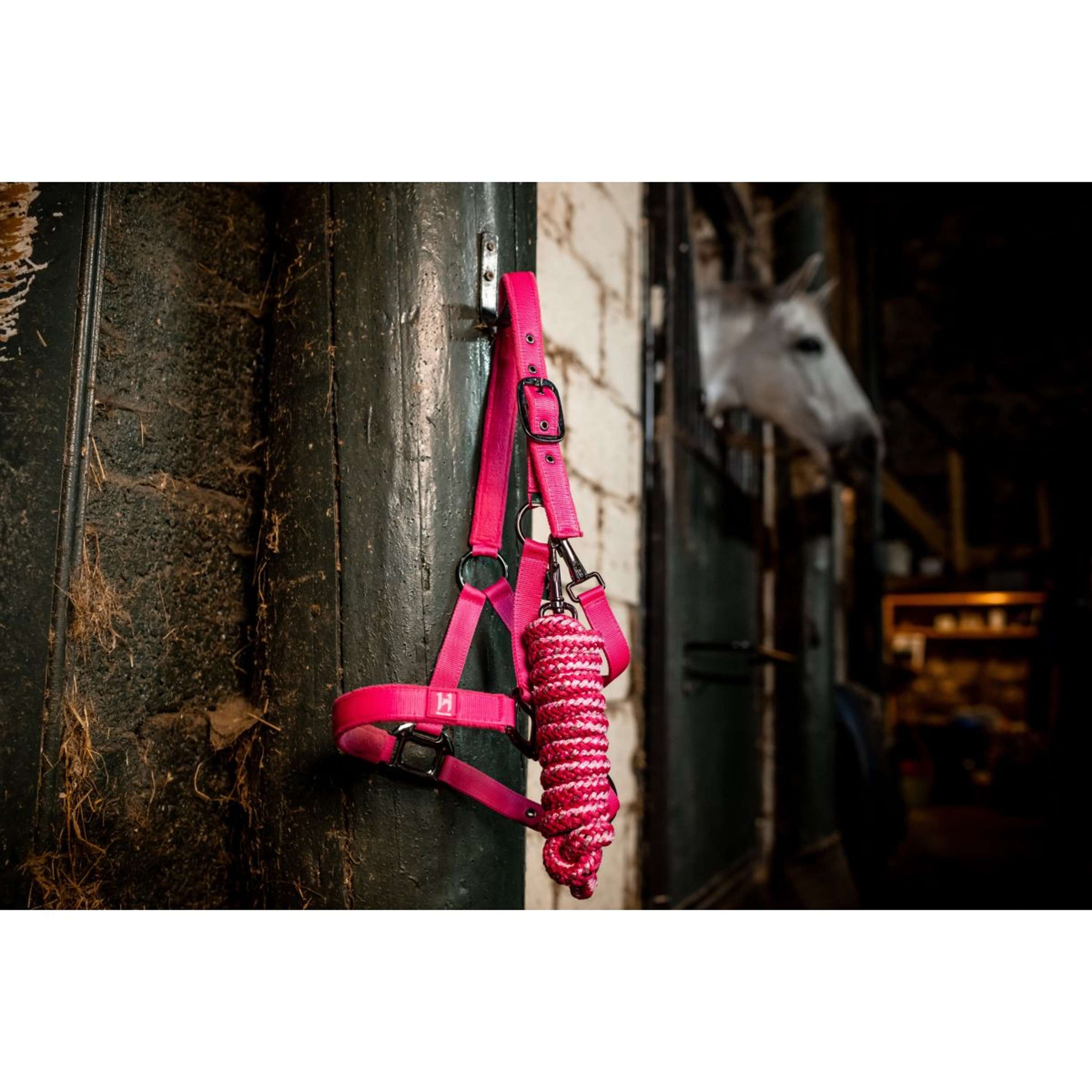 Amigo Halster & Touw Newmarket Witney Pink Amigo Halster & Touw Newmarket Witney Pink