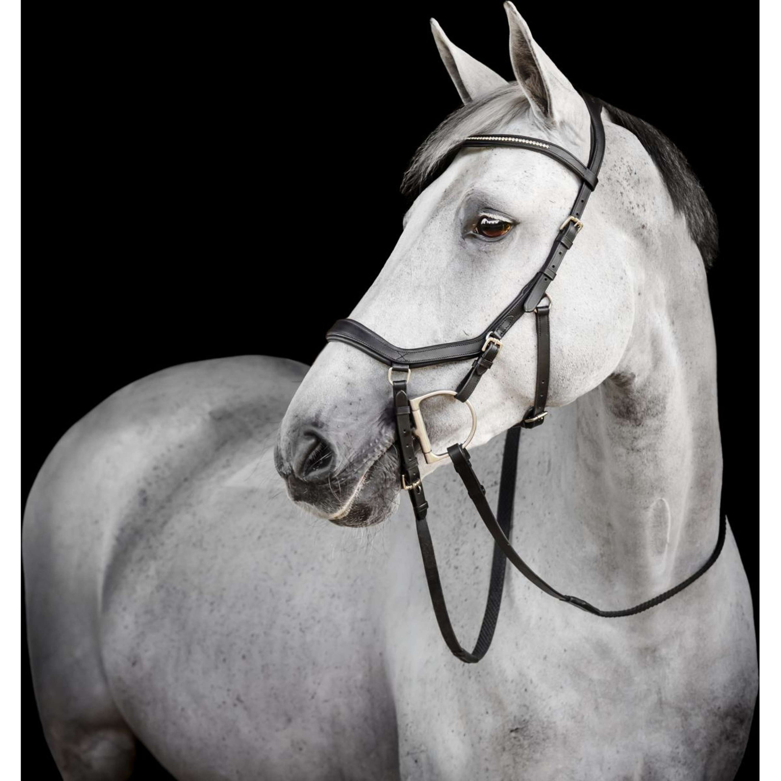 Horseware Micklem Diamante Competition Bridle Zwart Horseware Micklem Diamante Competition Bridle Zwart