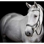 Horseware Micklem Diamante Competition Bridle Zwart