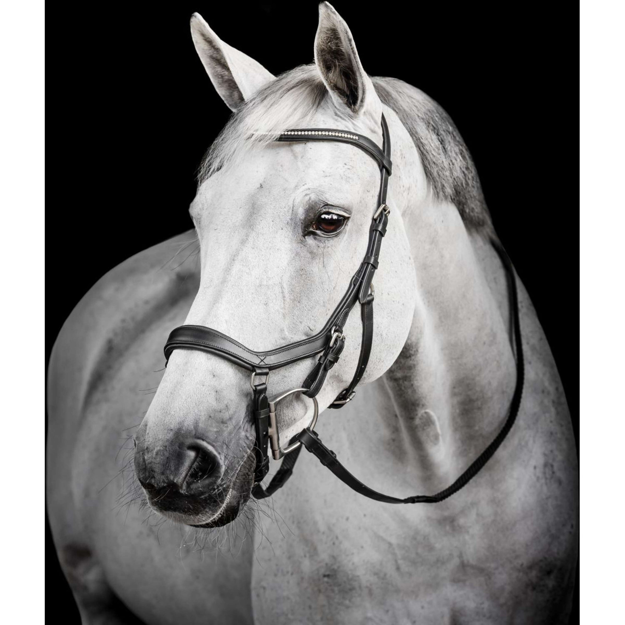 Horseware Micklem Diamante Competition Bridle Zwart