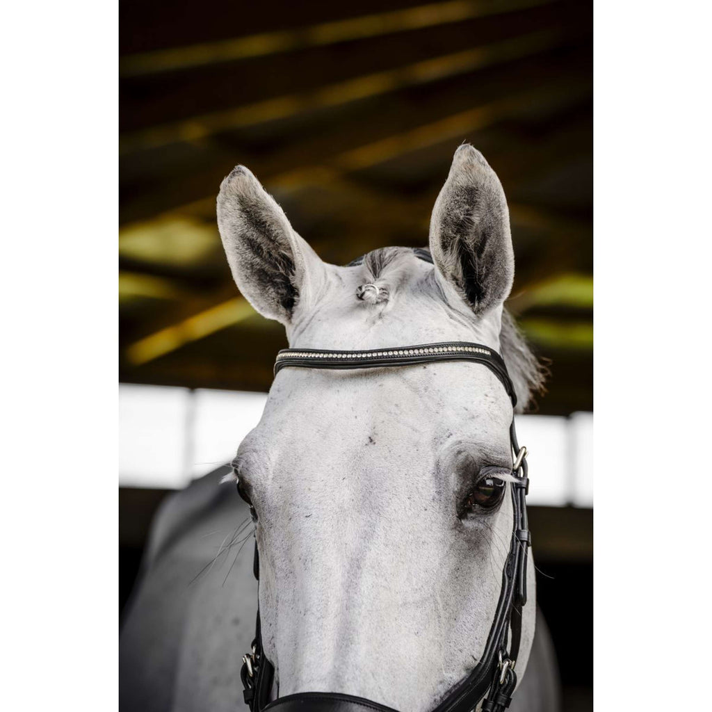 Horseware Micklem Diamante Competition Bridle Zwart