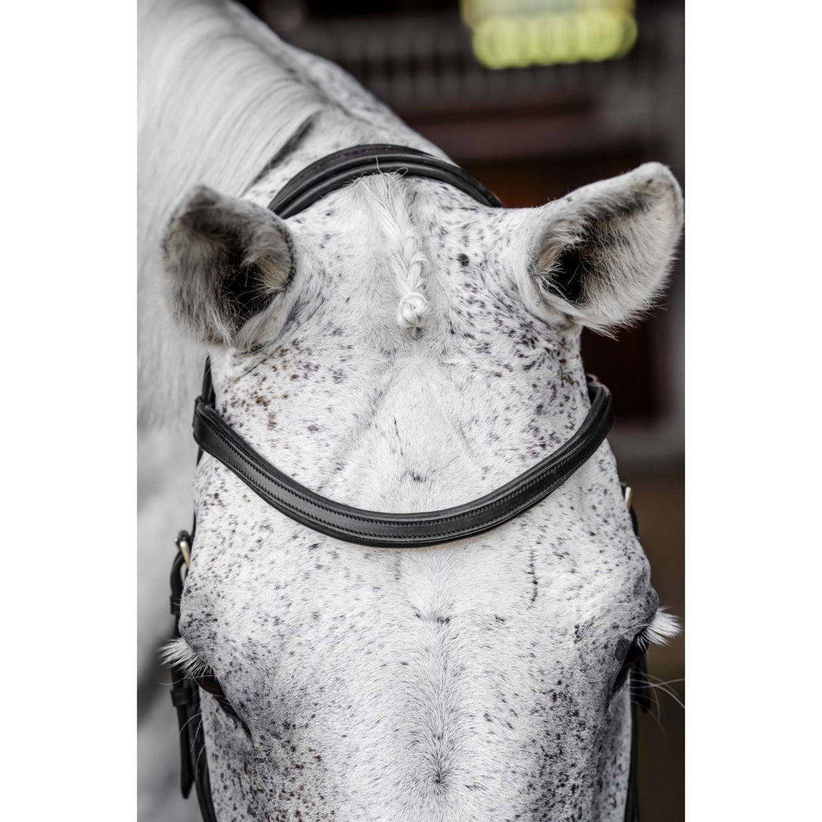 Horseware Micklem Competition Bridle Zwart