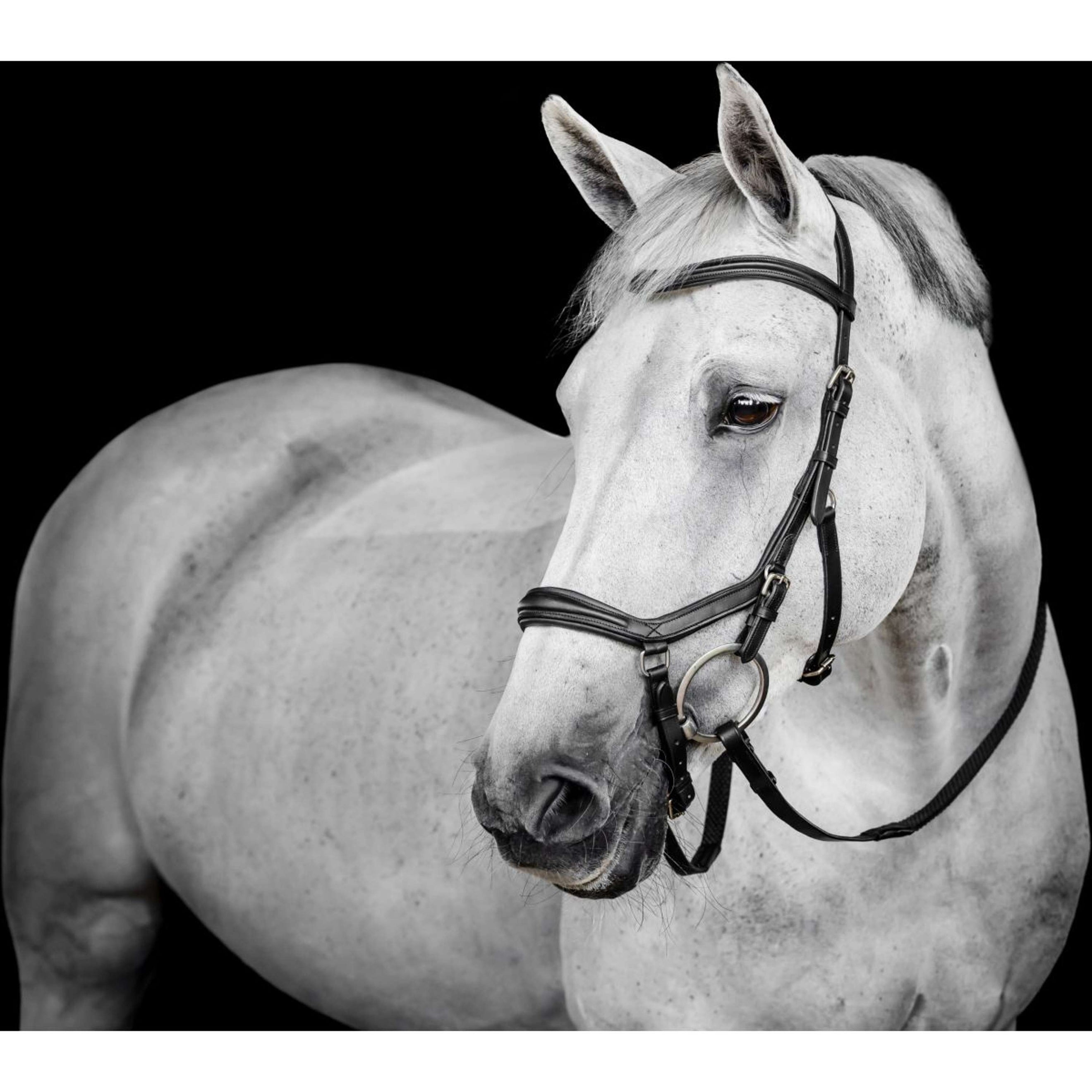 Horseware Micklem Deluxe Competition Bridle Zwart Horseware Micklem Deluxe Competition Bridle Zwart