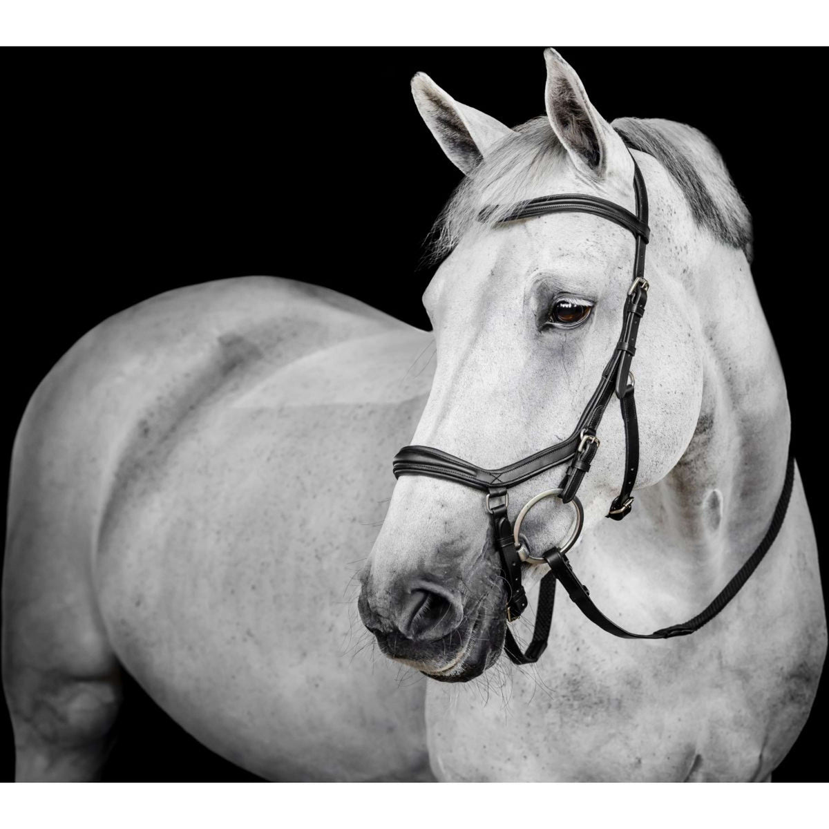 Horseware Micklem Deluxe Competition Bridle Zwart