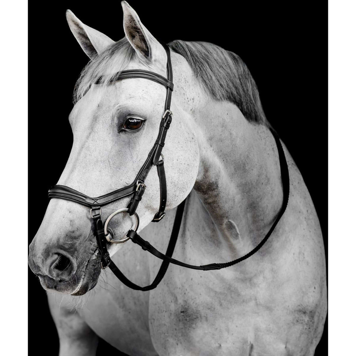 Horseware Micklem Deluxe Competition Bridle Zwart