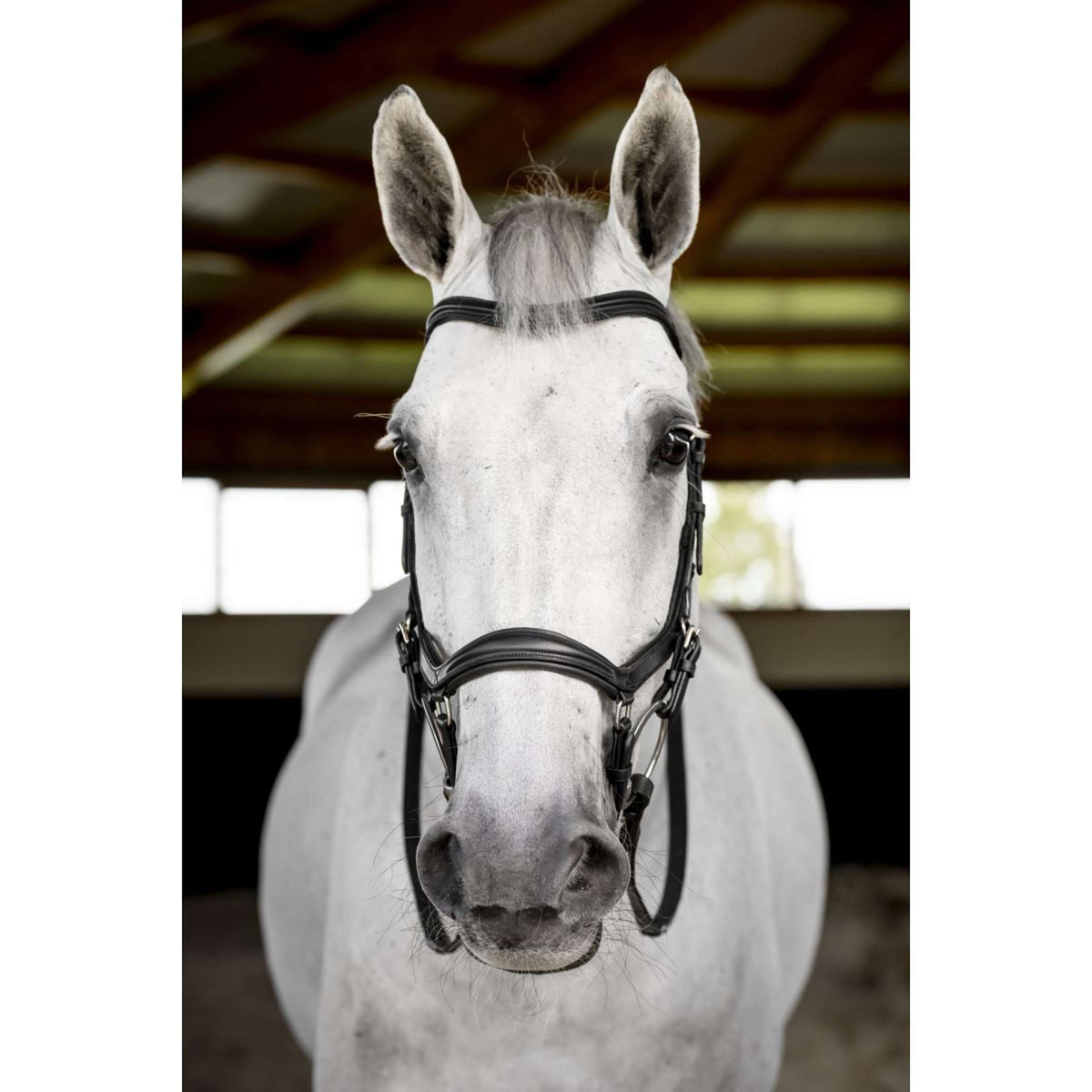 Horseware Micklem Deluxe Competition Bridle Zwart