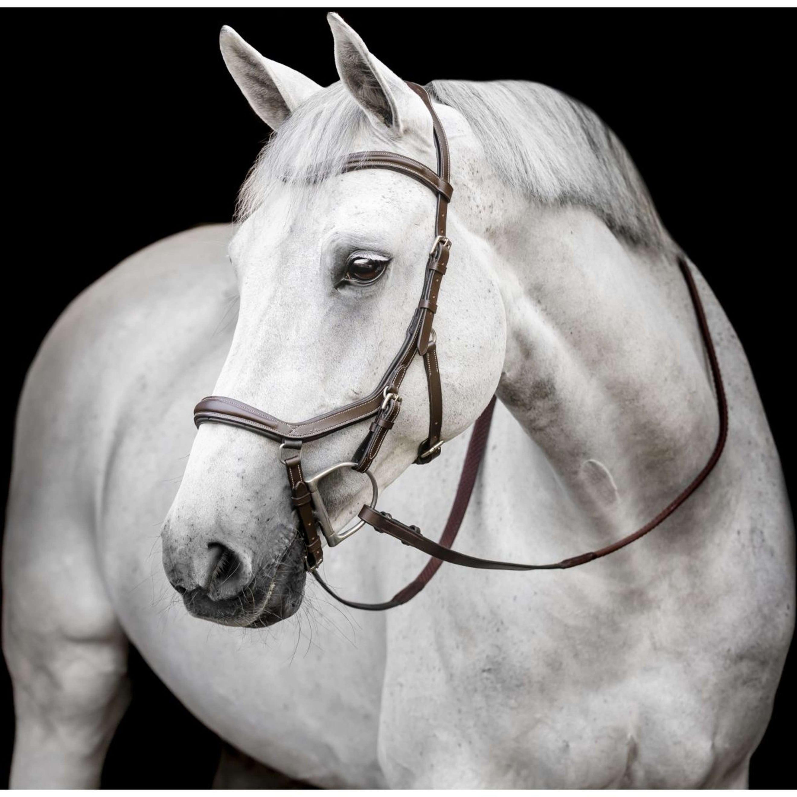 Horseware Micklem Deluxe Competition Bridle Dark Havana