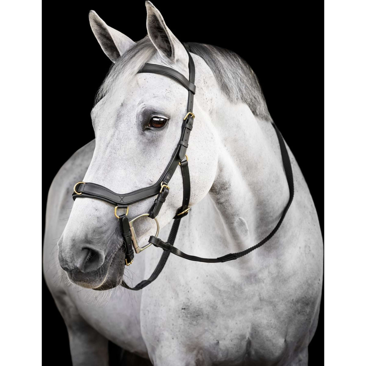 Horseware Micklem Multi Bridle Zwart
