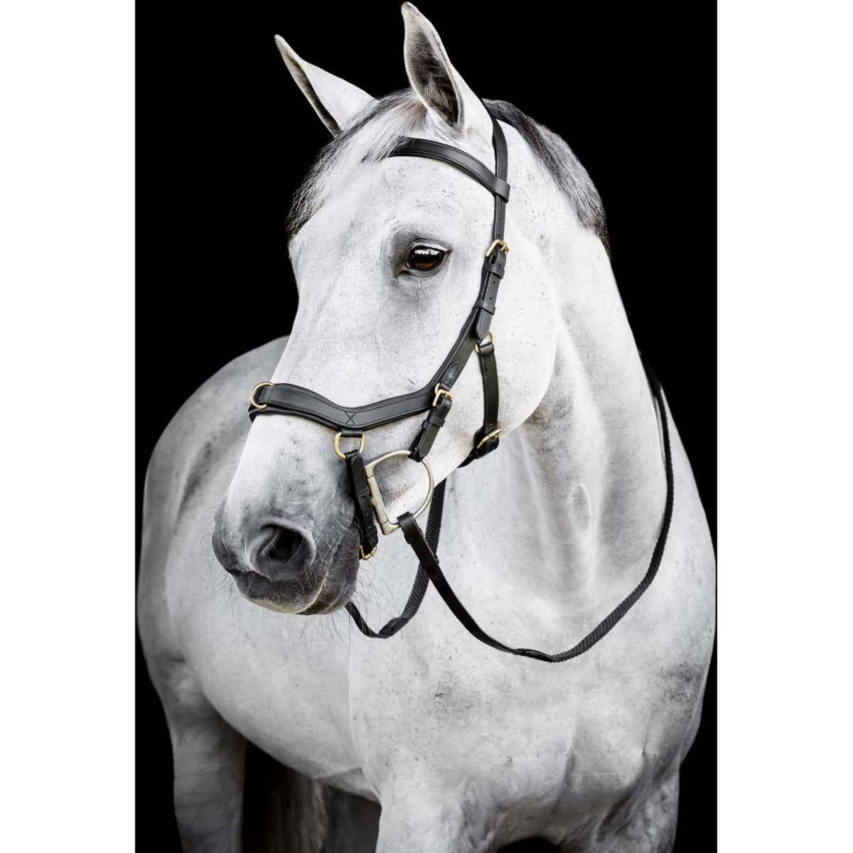 Horseware Micklem Multi Bridle Zwart