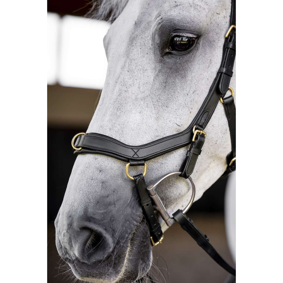Horseware Micklem Multi Bridle Zwart